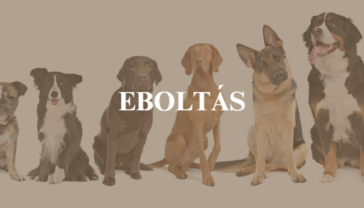 Eboltás