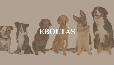 Eboltás a Faluház udvarán