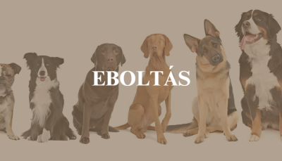 Eboltás